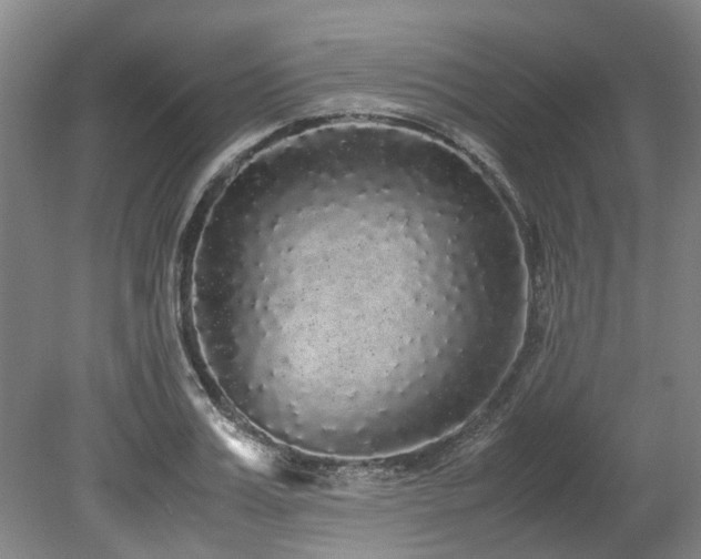 X0000078840987200611131144