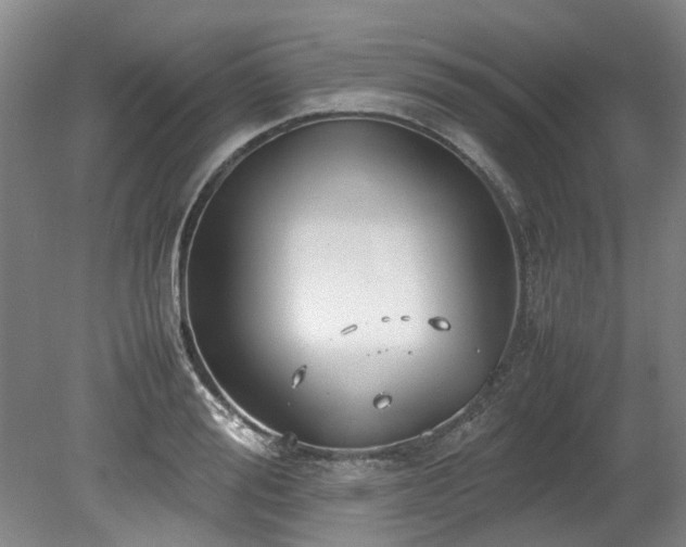 X0000078840988200611131144