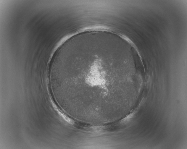 X0000078840989200611131144