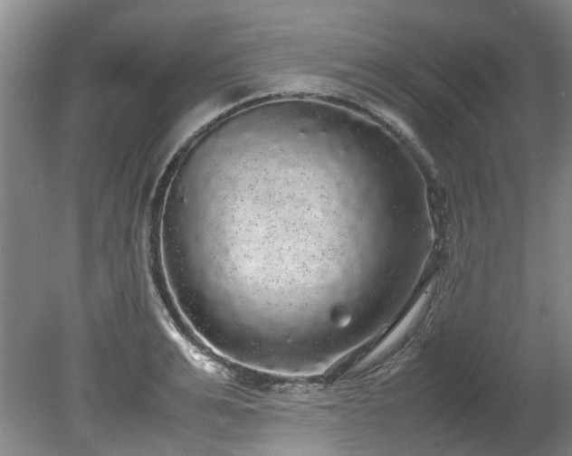 X0000078840991200611131144