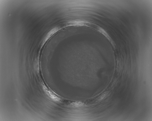 X0000078840994200611131144