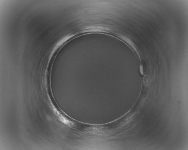 X0000078840995200611131144