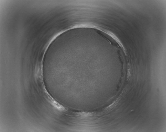 X0000078840996200611131144