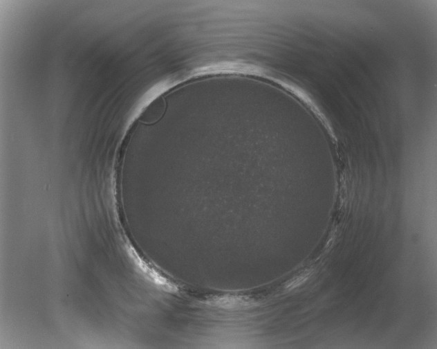 X0000078840998200611131144