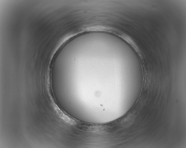 X0000078841000200611131144