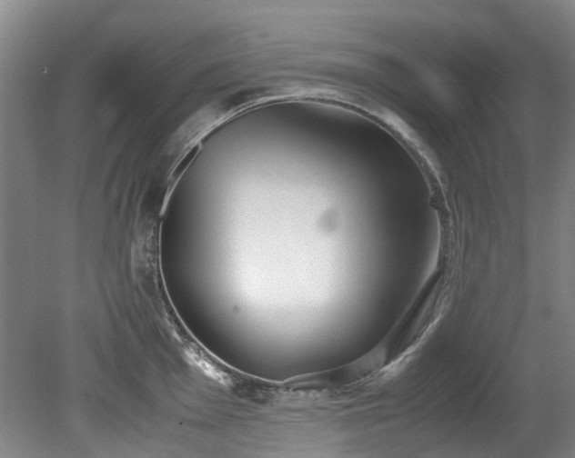 X0000078841001200611131144