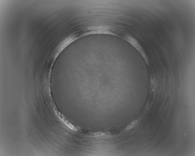 X0000078841002200611131144