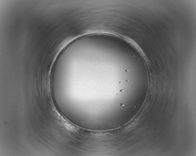 X0000078841004200611131144