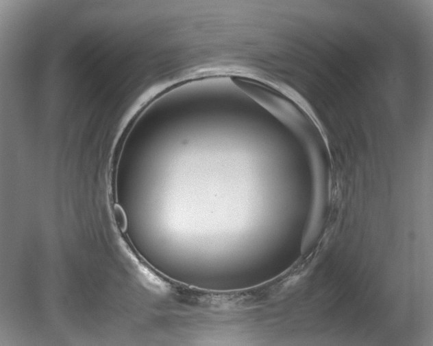 X0000078841005200611131144