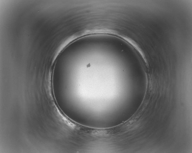 X0000078841006200611131144