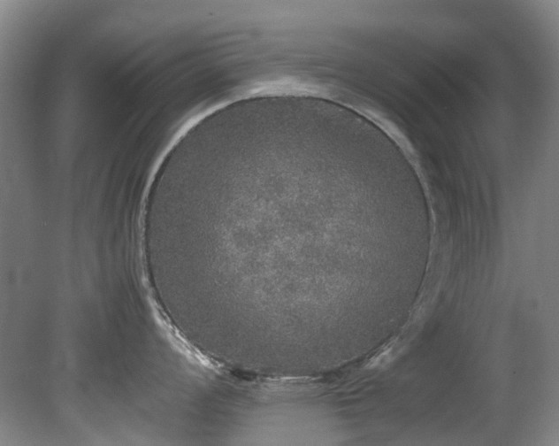 X0000078841008200611131144