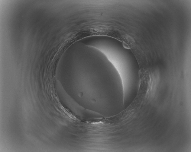 X0000078841009200611131143