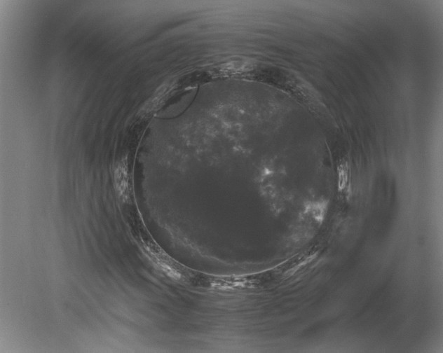 X0000078841011200611131143