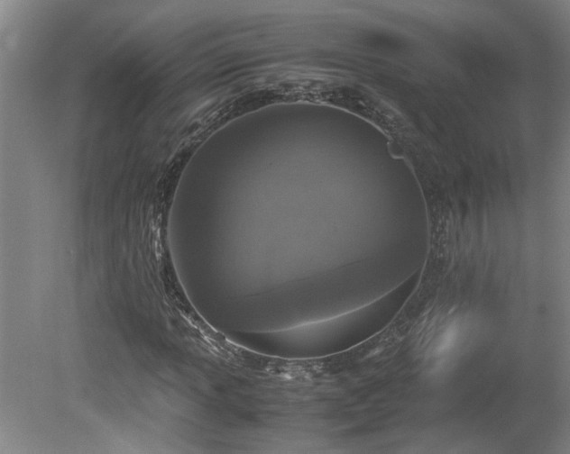 X0000078841013200611131143