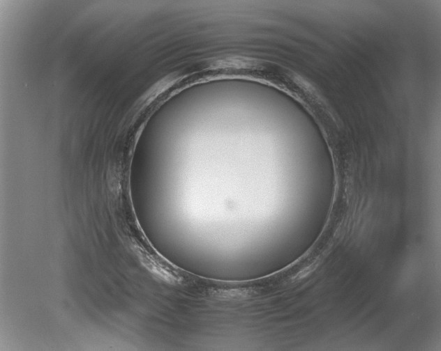 X0000078841017200611131143