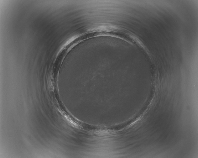 X0000078841018200611131143