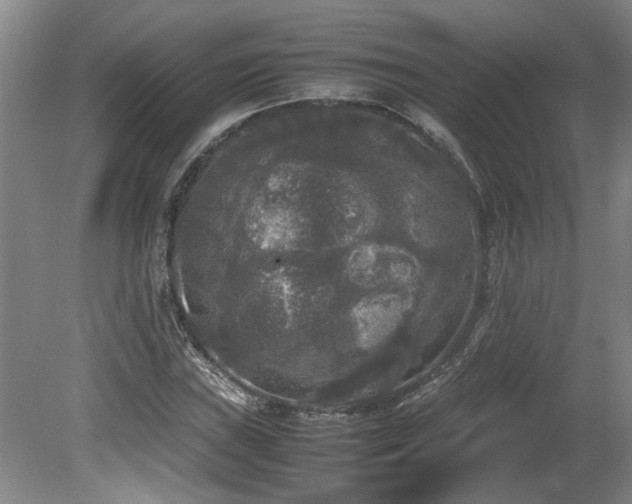 X0000078841019200611131143