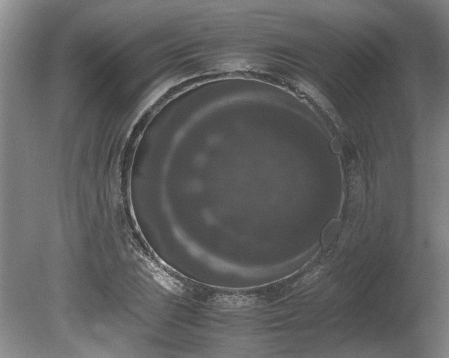 X0000078841023200611131143