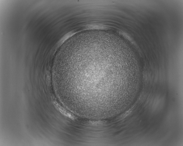 X0000078841025200611131143