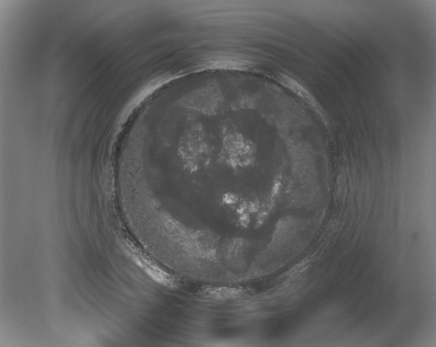 X0000078841027200611131143