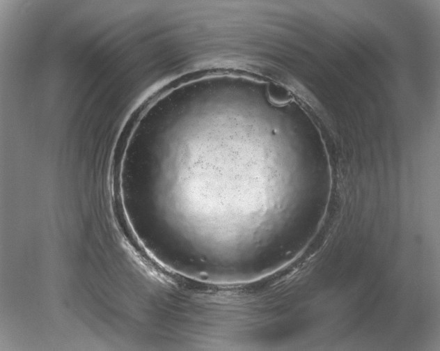 X0000078841028200611131143