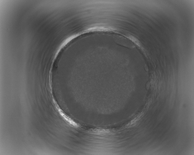 X0000078841030200611131143