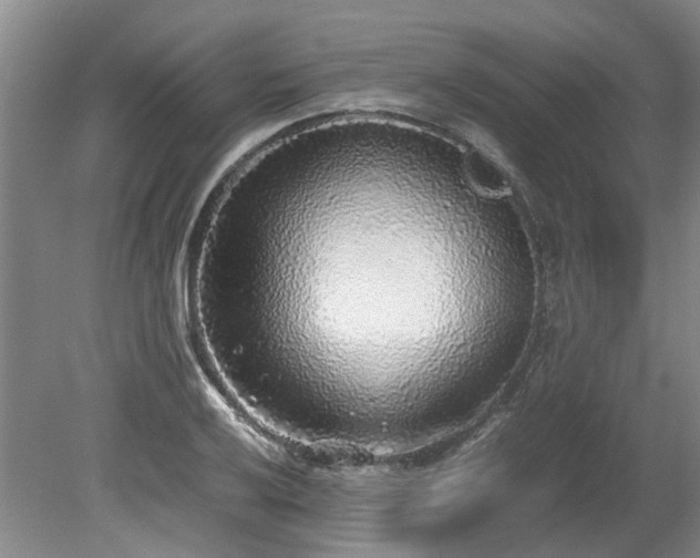 X0000078841032200611131143