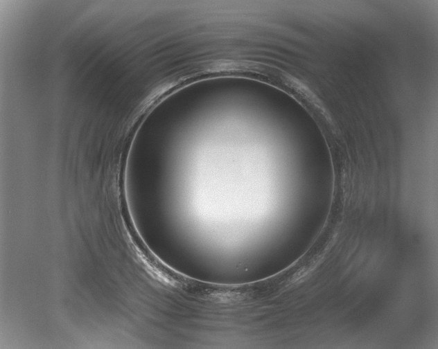 X0000078841033200611131143