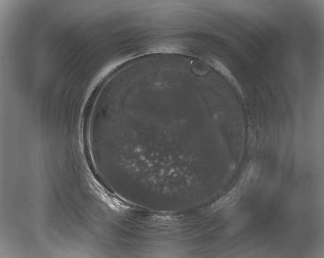 X0000078841035200611131143