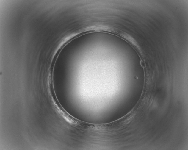 X0000078841040200611131143