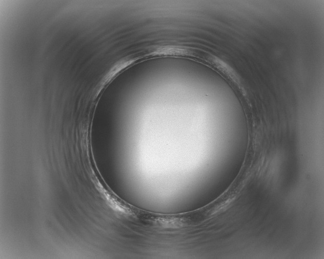 X0000078841041200611131143