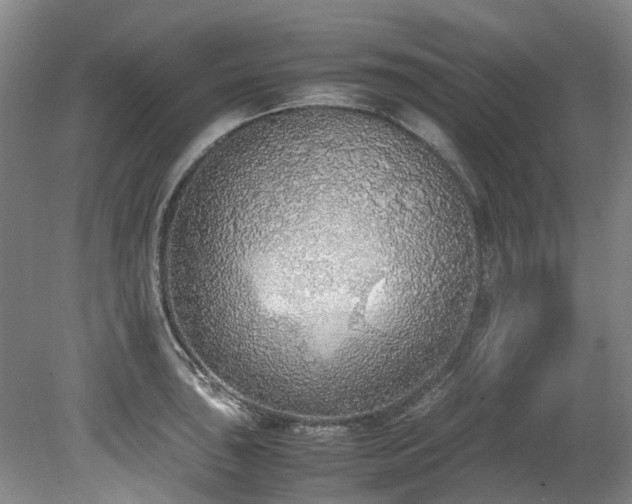 X0000078841043200611131143