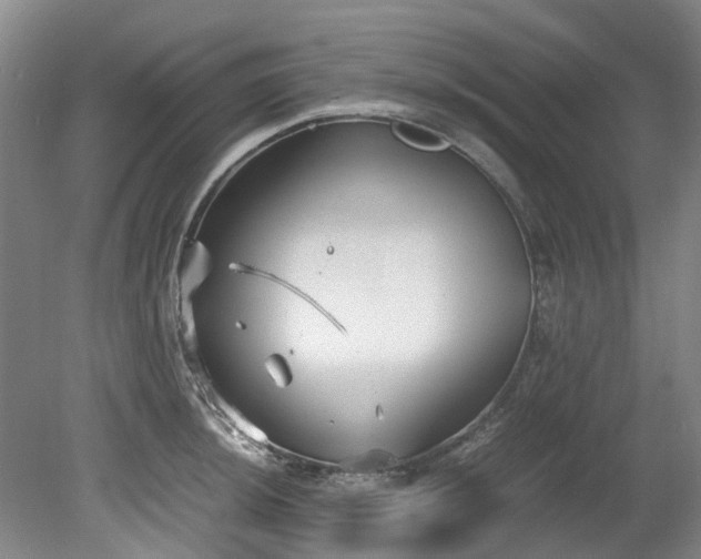 X0000078841044200611131143