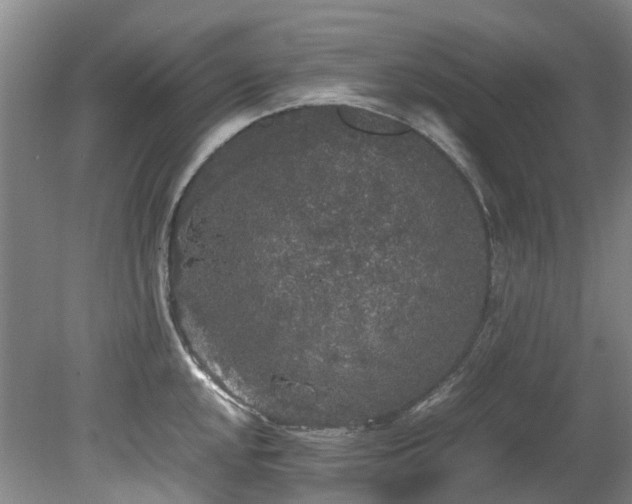 X0000078841048200611131144