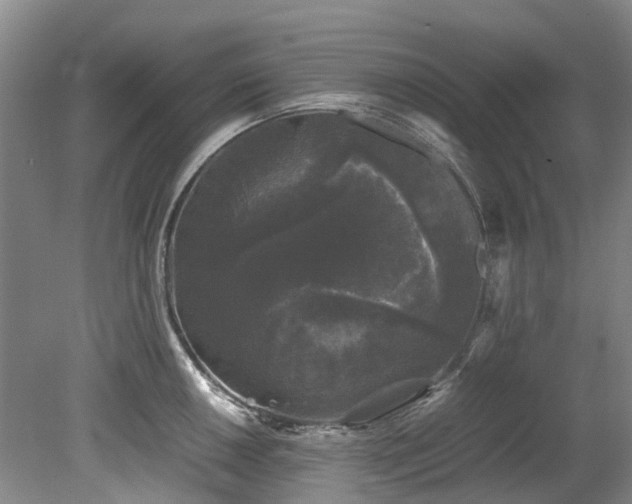 X0000078841050200611131144