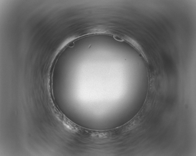 X0000078841051200611131144