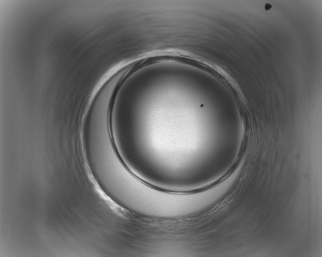 X0000078841054200611131144