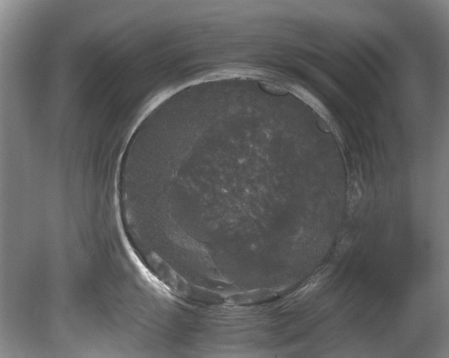 X0000078841055200611131144