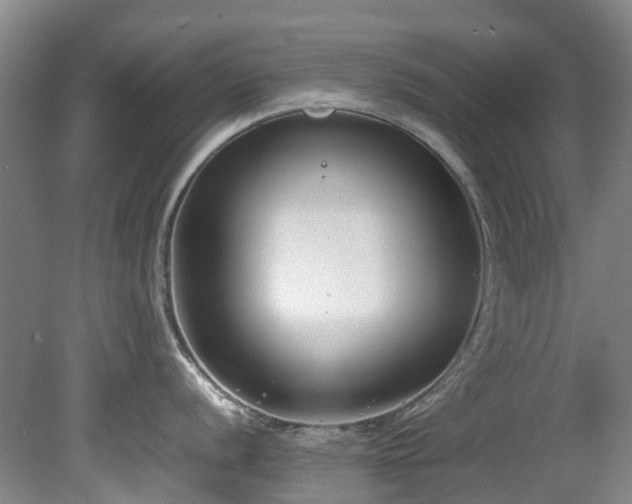 X0000078841056200611131144