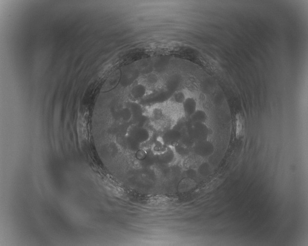 X0000078841059200611131143