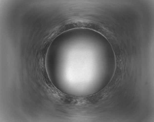 X0000078841061200611131143