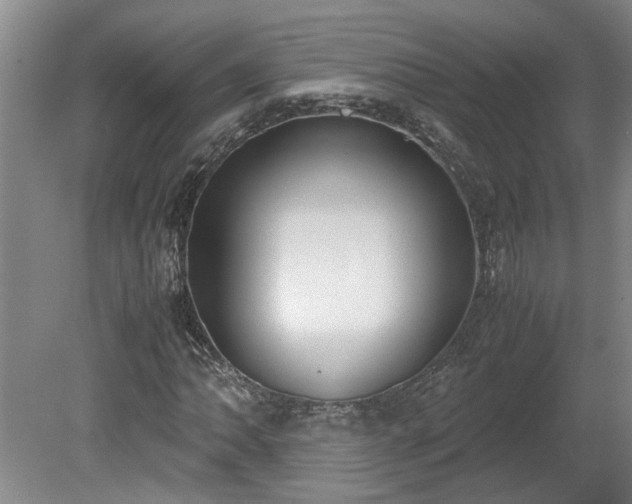 X0000078841062200611131143