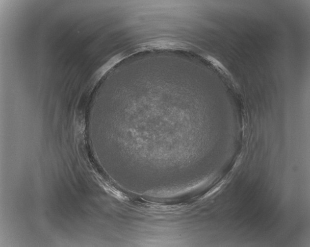 X0000078841065200611131143