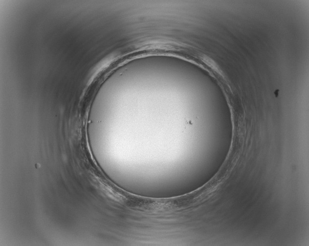 X0000078841067200611131143