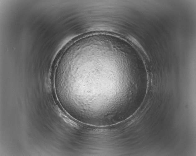 X0000078841068200611131143