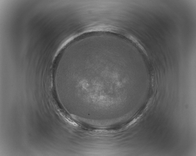 X0000078841069200611131143