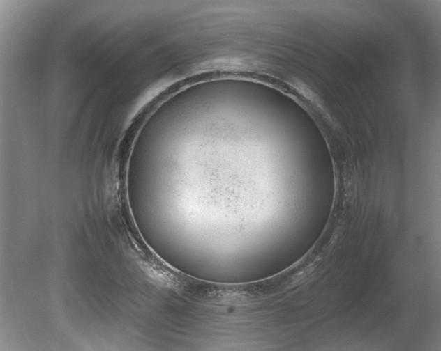 X0000078841070200611131143