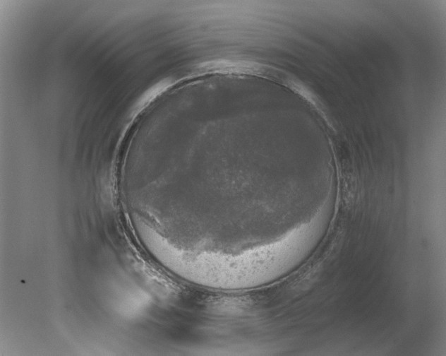 X0000078841074200611131143