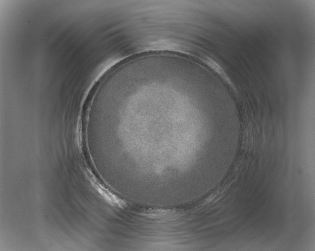 X0000078841076200611131143