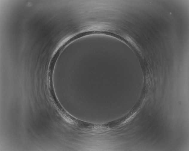 X0000078841077200611131143